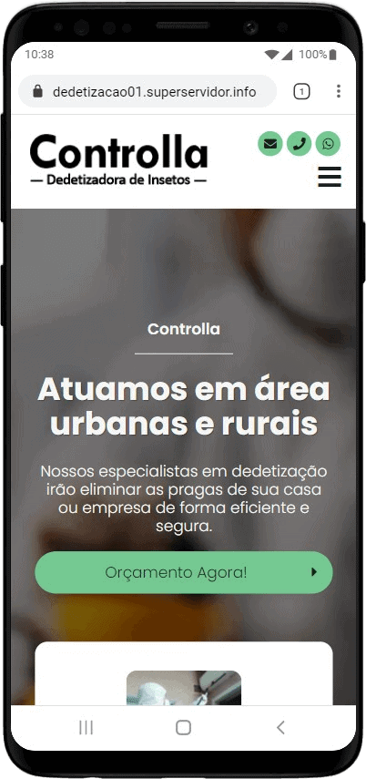 Modelo de site para empresas de detetização